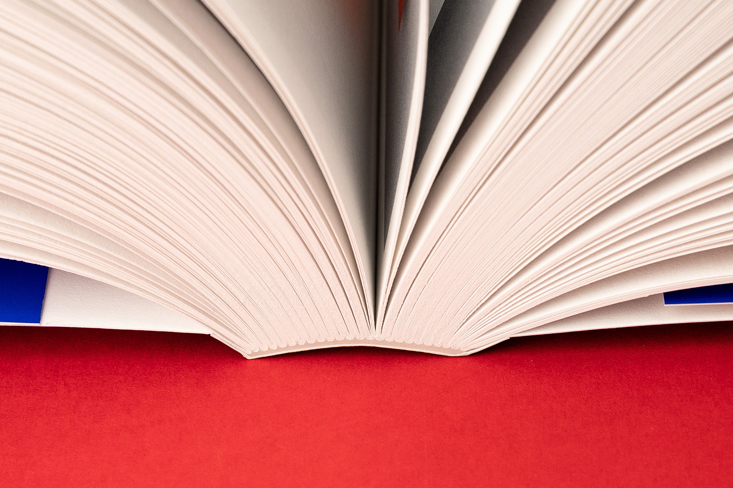 The book of books on photobooks binding Innocences Publishing