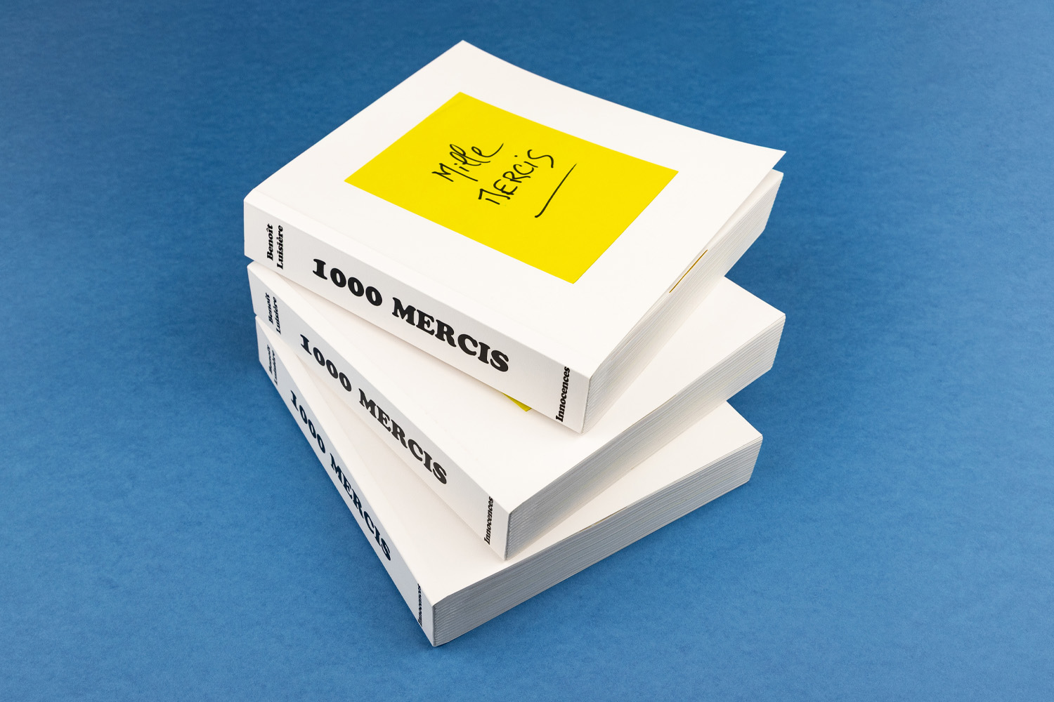 1000 mercis livre Benoît Luisière Innocences