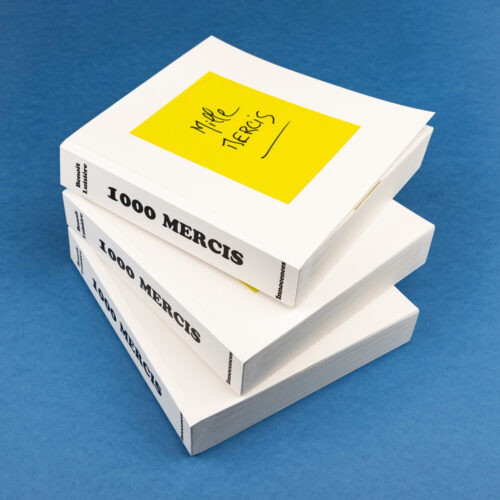 1000 mercis livre Benoît Luisière Innocences Publishing