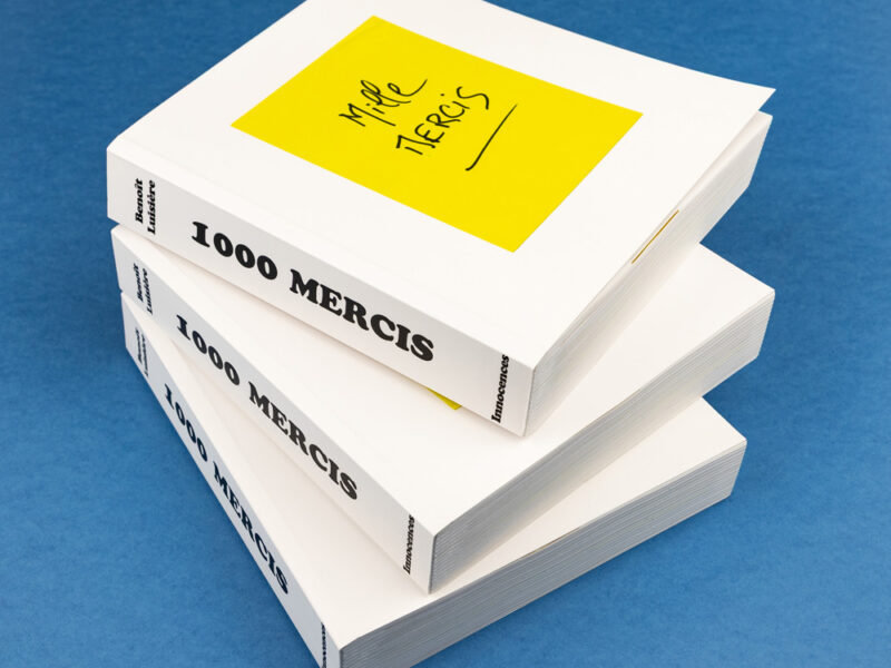 1000 mercis livre Benoît Luisière Innocences Publishing