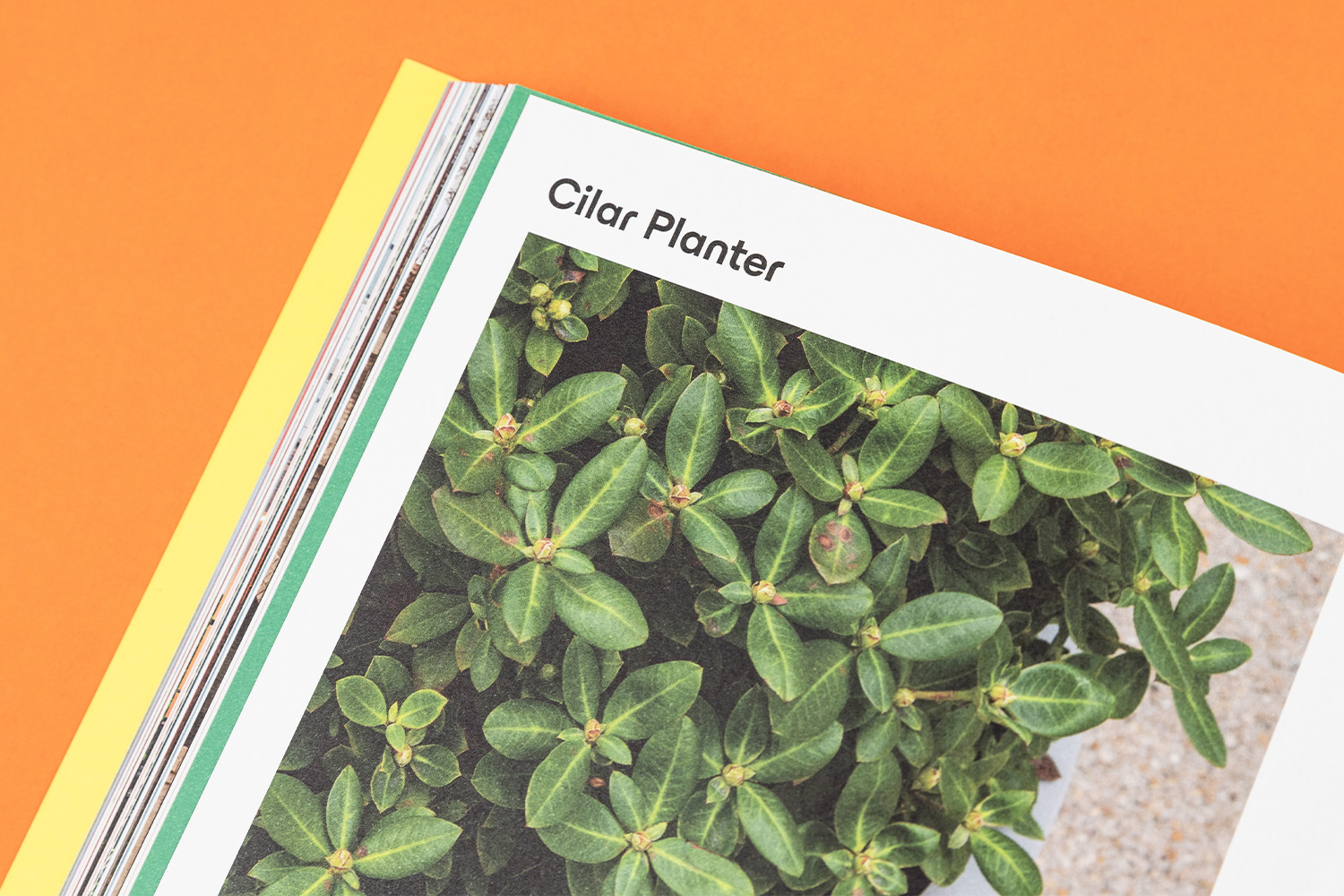 Durbanis catálogo impresión