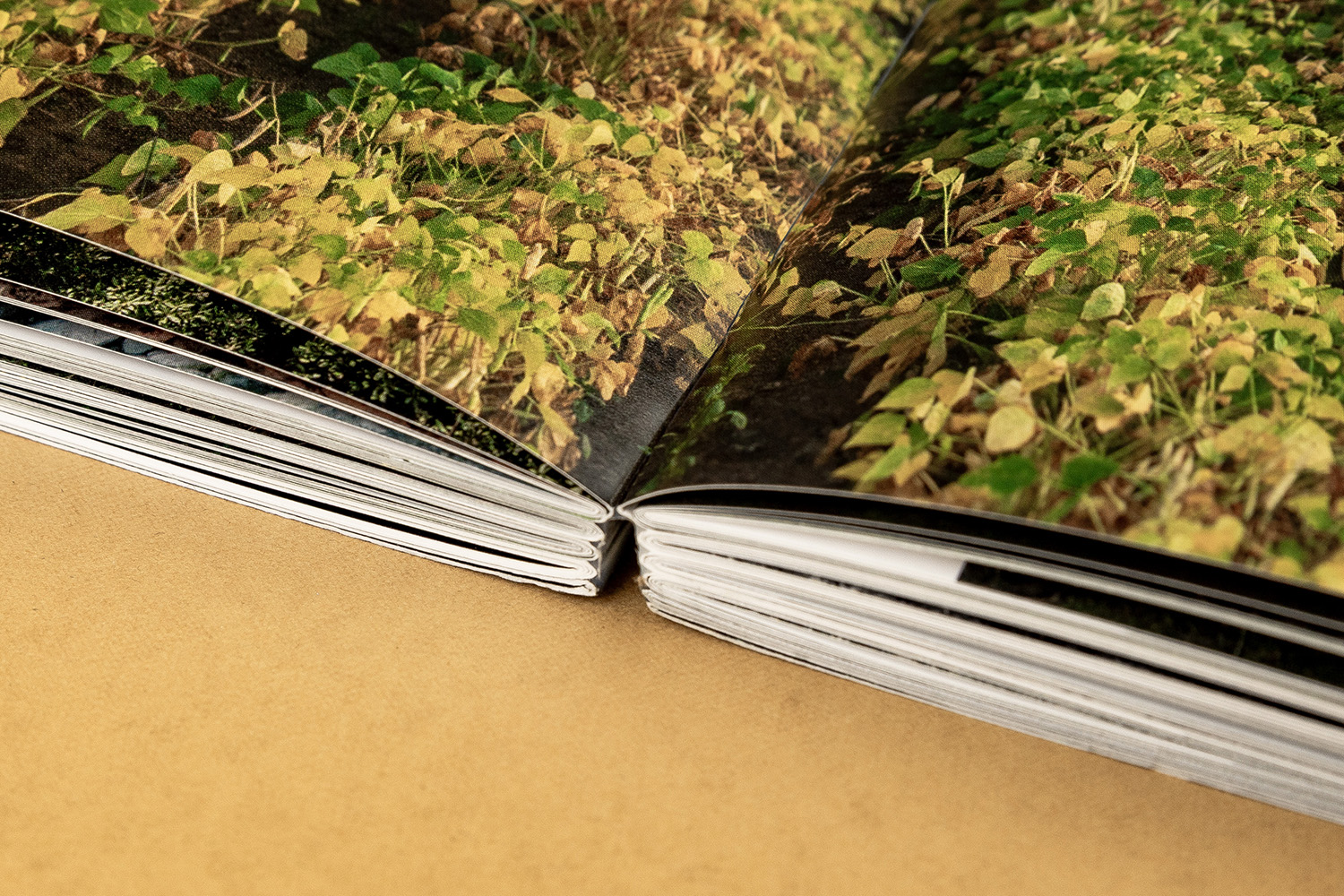 Llibre Pep Sau Enquadernació