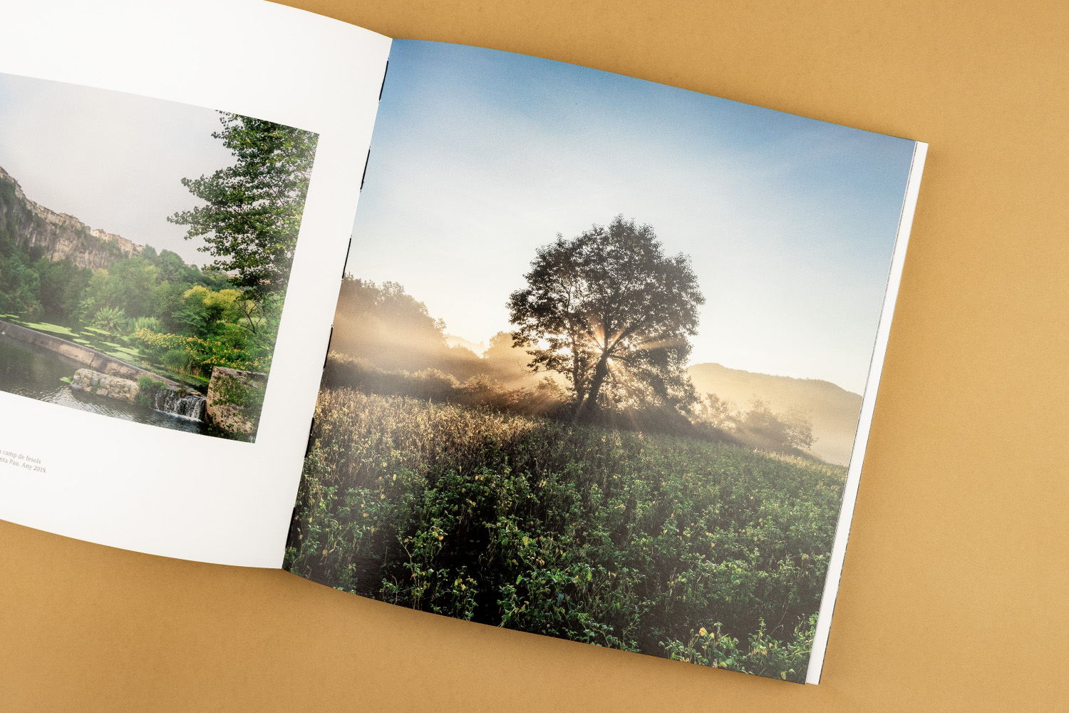 Llibre Pep Sau La Mirada Serena