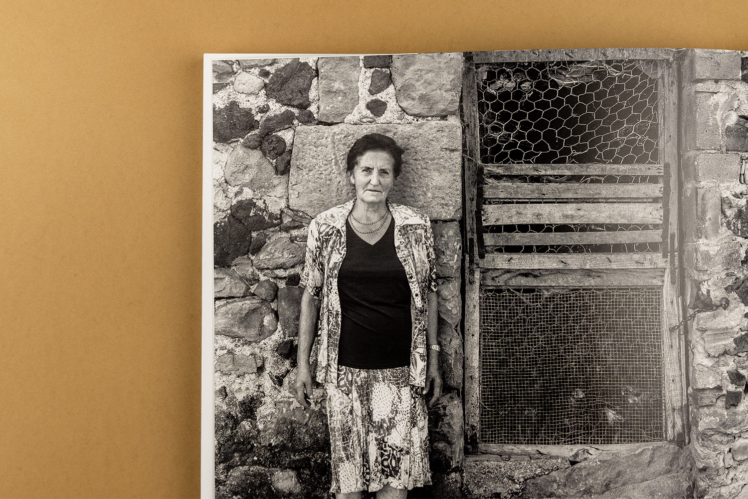 Llibre Pep Sau fotògraf Olot