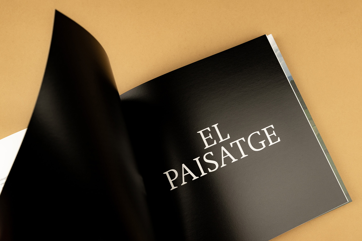 Llibre Pep Sau impressió