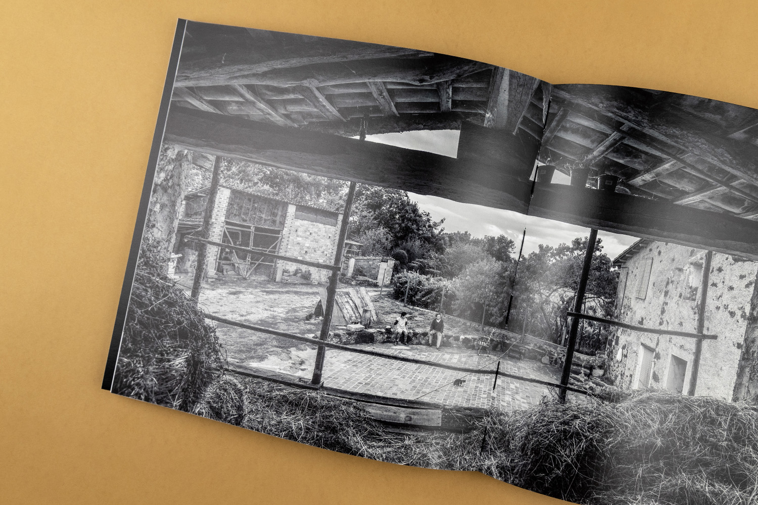 Fotollibre Pep Sau Catàleg