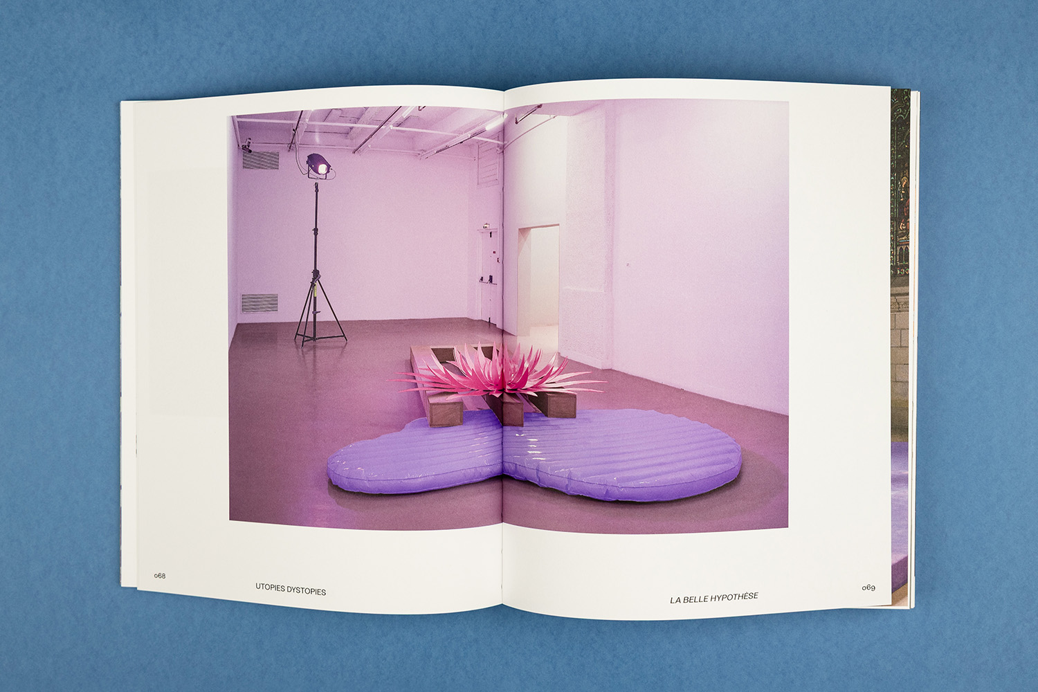 Delphine Coindet book RGB printing