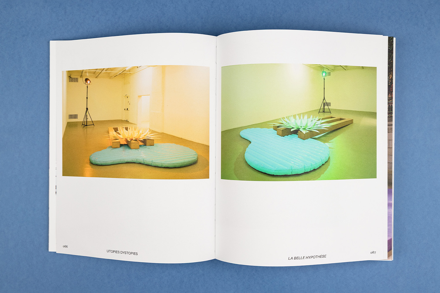 Delphine Coindet book extended gamut printing