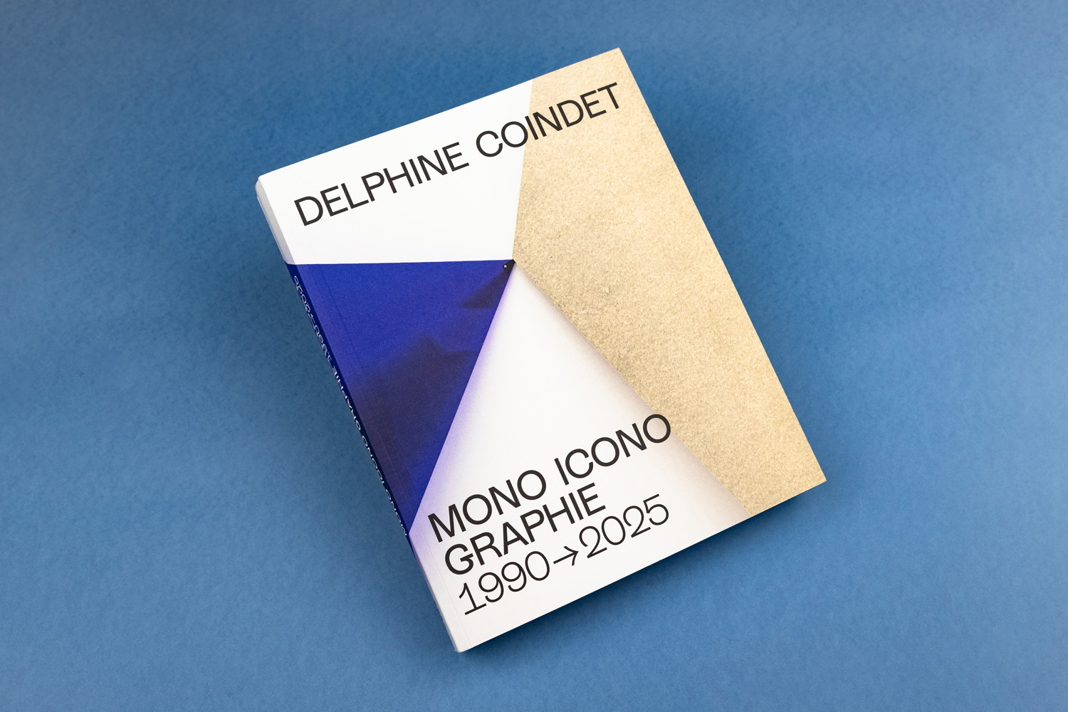 Delphine Coindet book Mono Icono Graphie