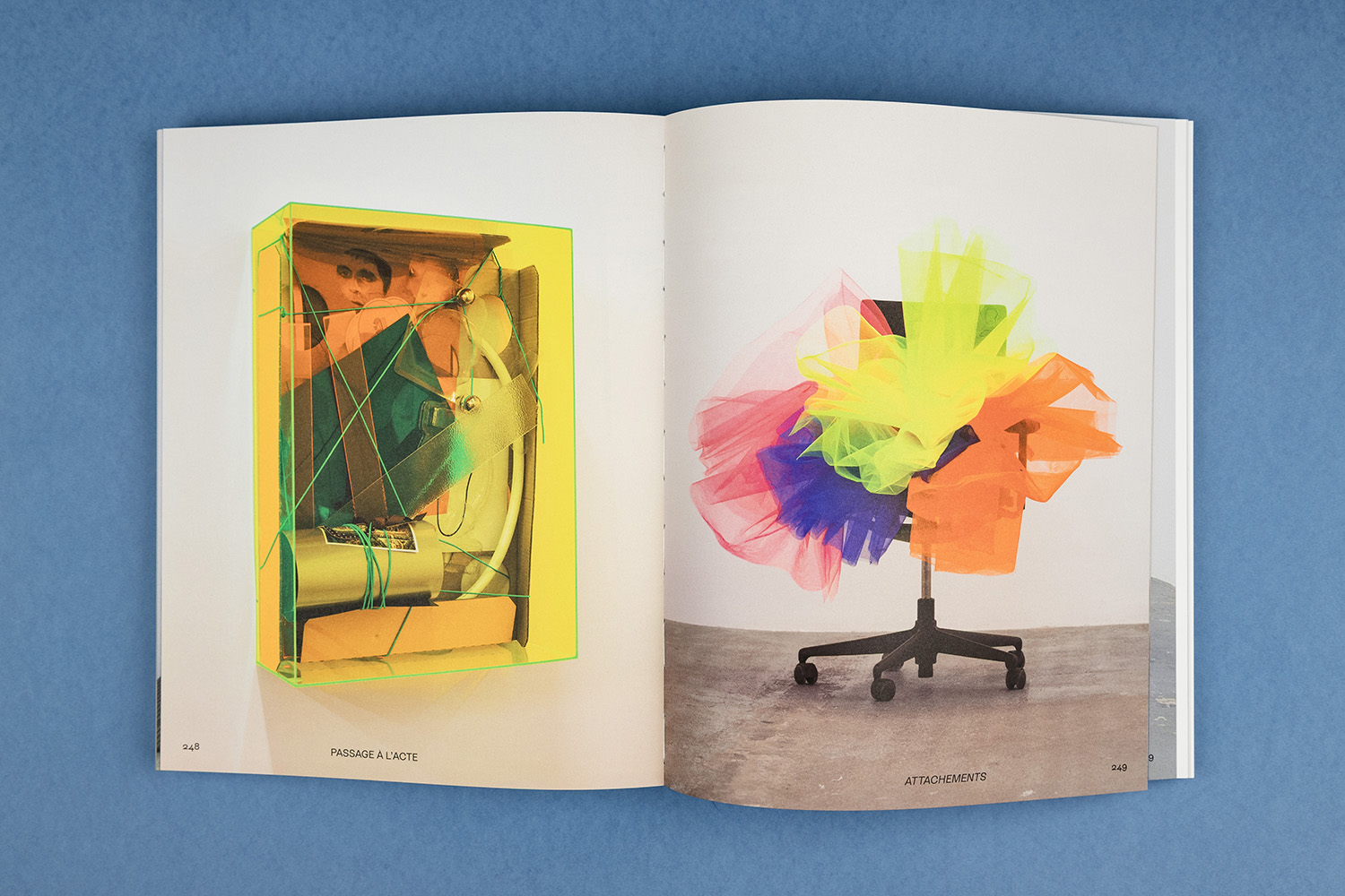 Delphine Coindet book multicolor printing