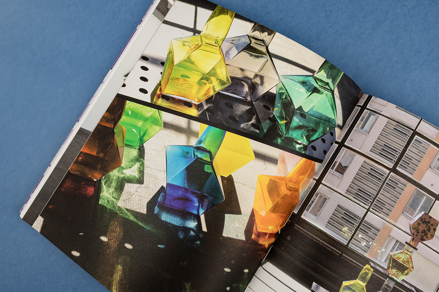 Delphine Coindet book vivid colors printing