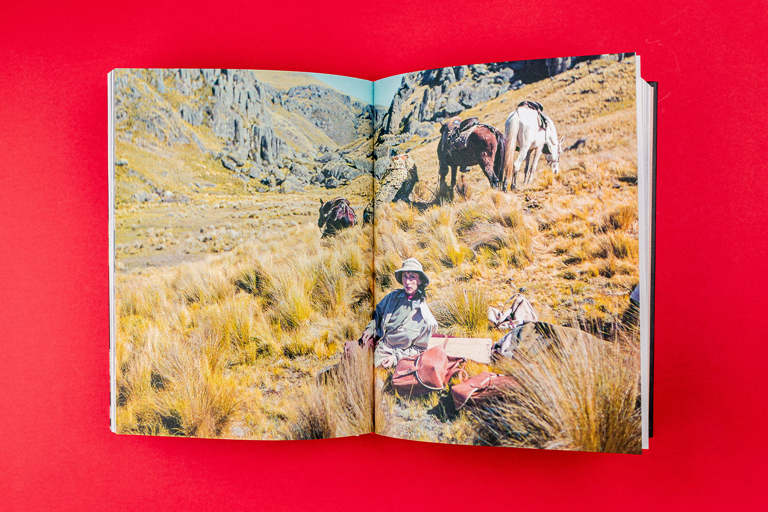 Savanturieres museum national d'histoire naturelle book photography