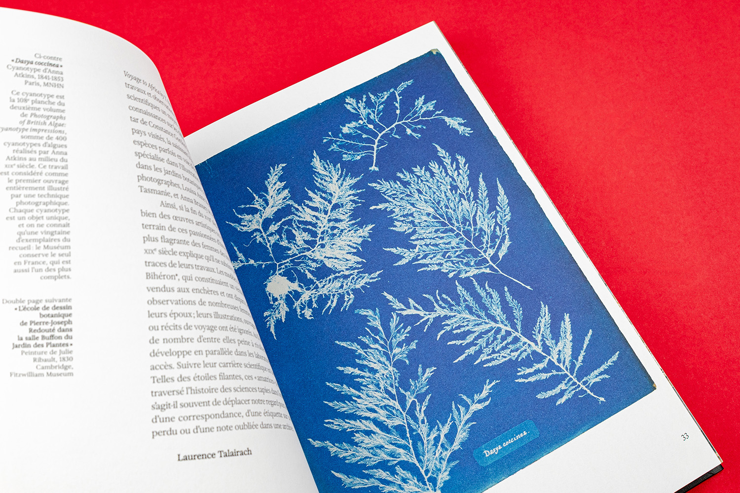 Savanturieres museum national d'histoire naturelle livre cyanotype