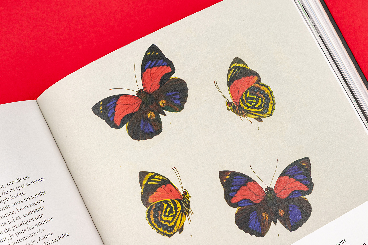 Savanturieres museum national d'histoire naturelle livre imprimerie