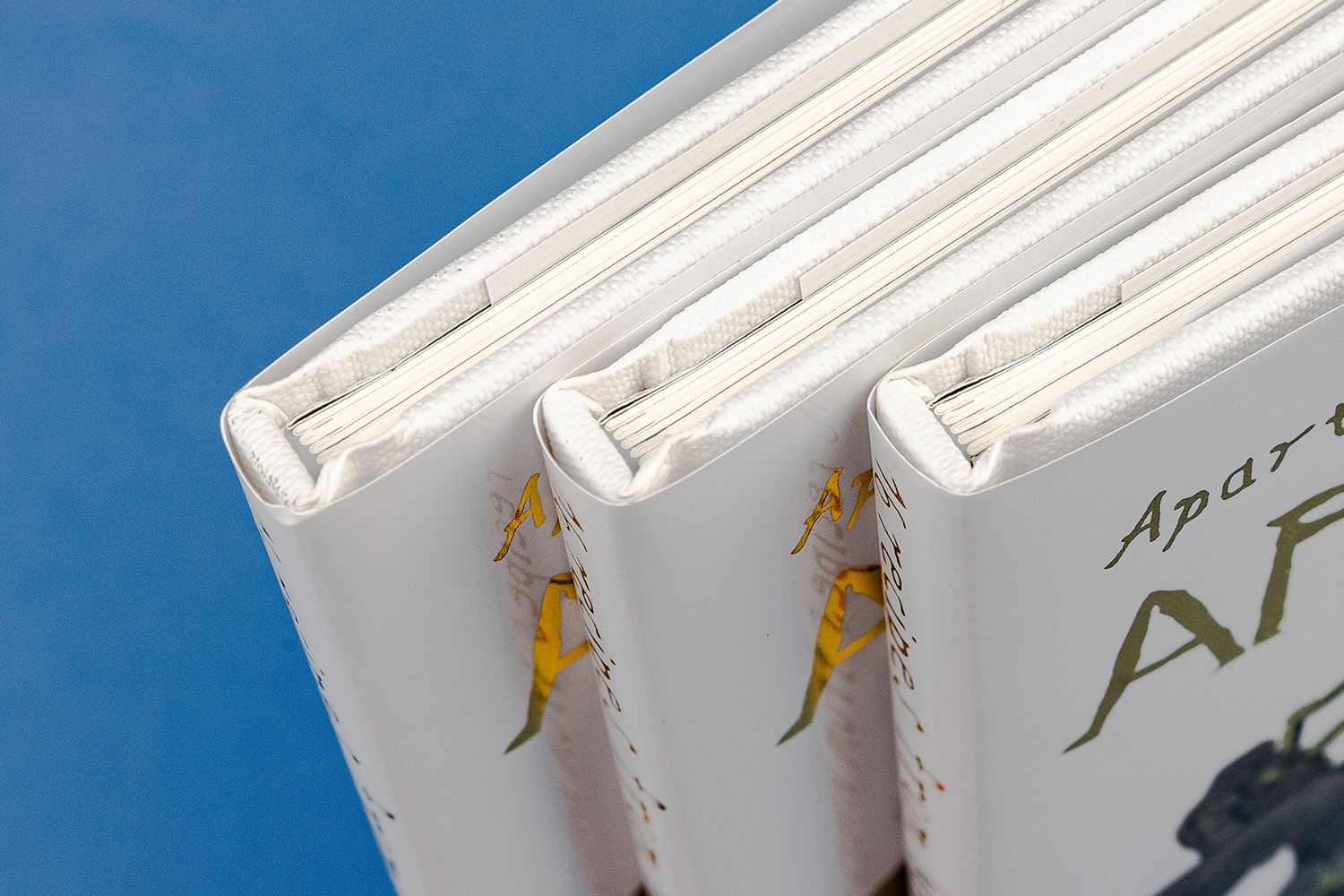 Apartamento Cookbook Aphrodisiacs binding