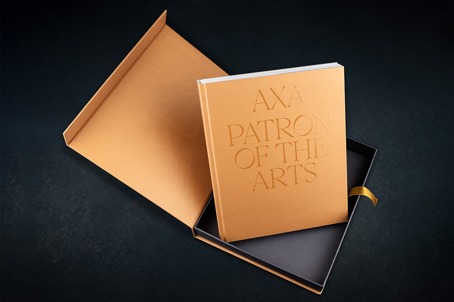 Axa Mecene des arts Lienart Boîte montée