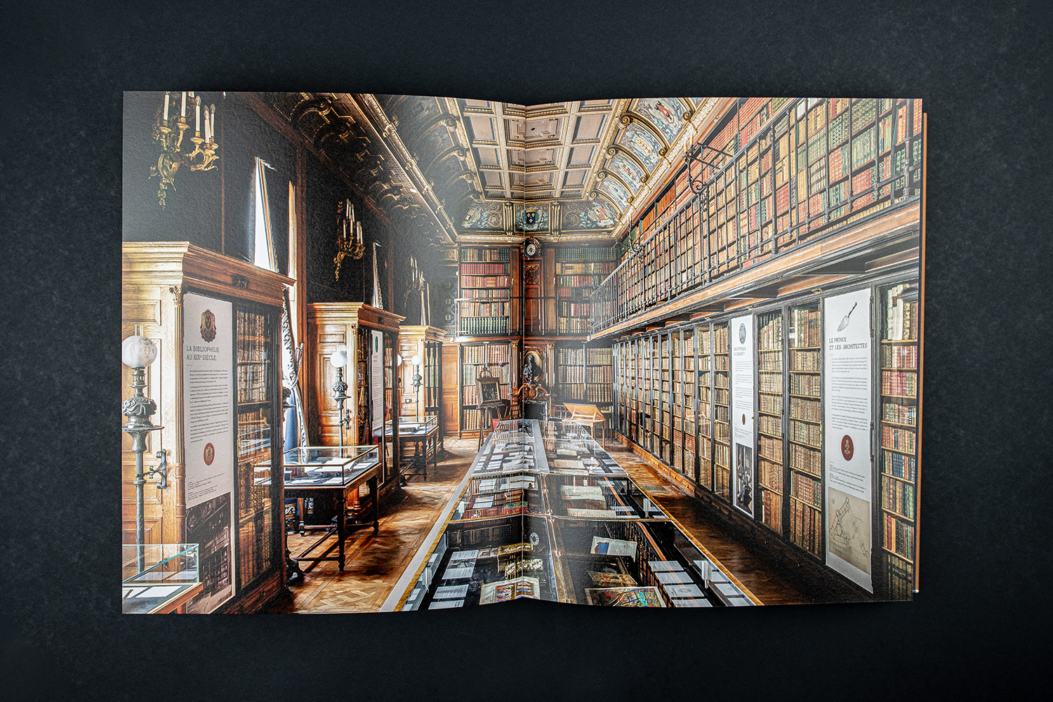 Axa Mecene des arts Lienart premium printing