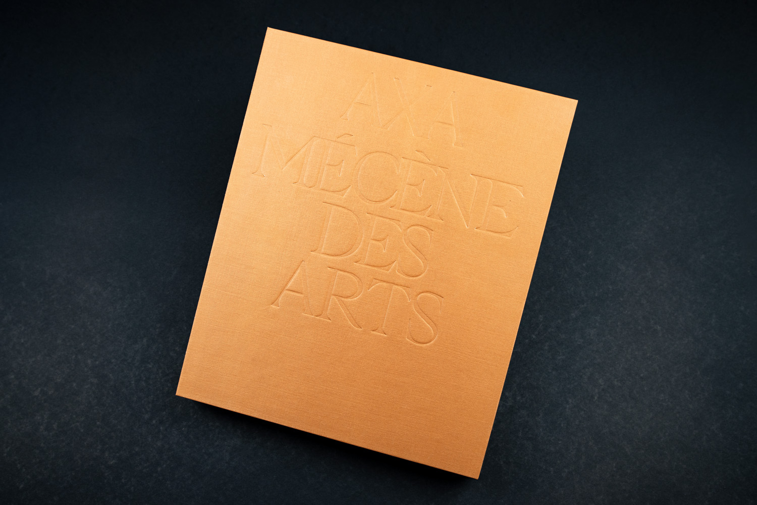 Axa Mecene des arts Lienart