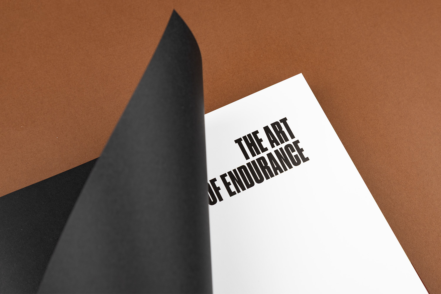 The Art of Endurance 2025 book FIA championship WEC
