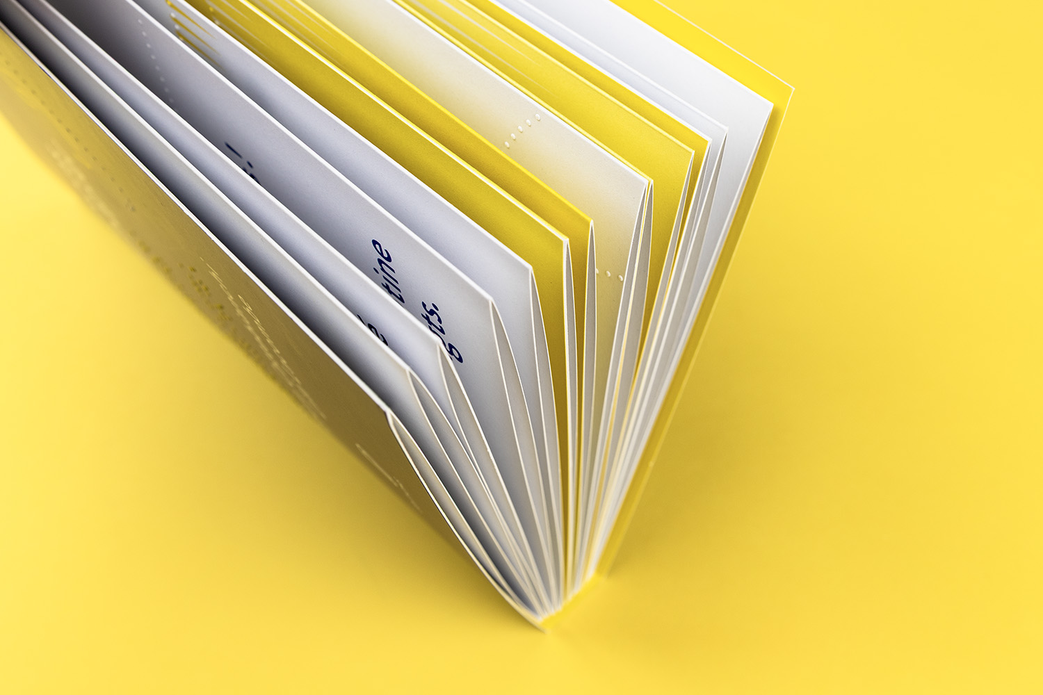 Les sons du papier leporello
