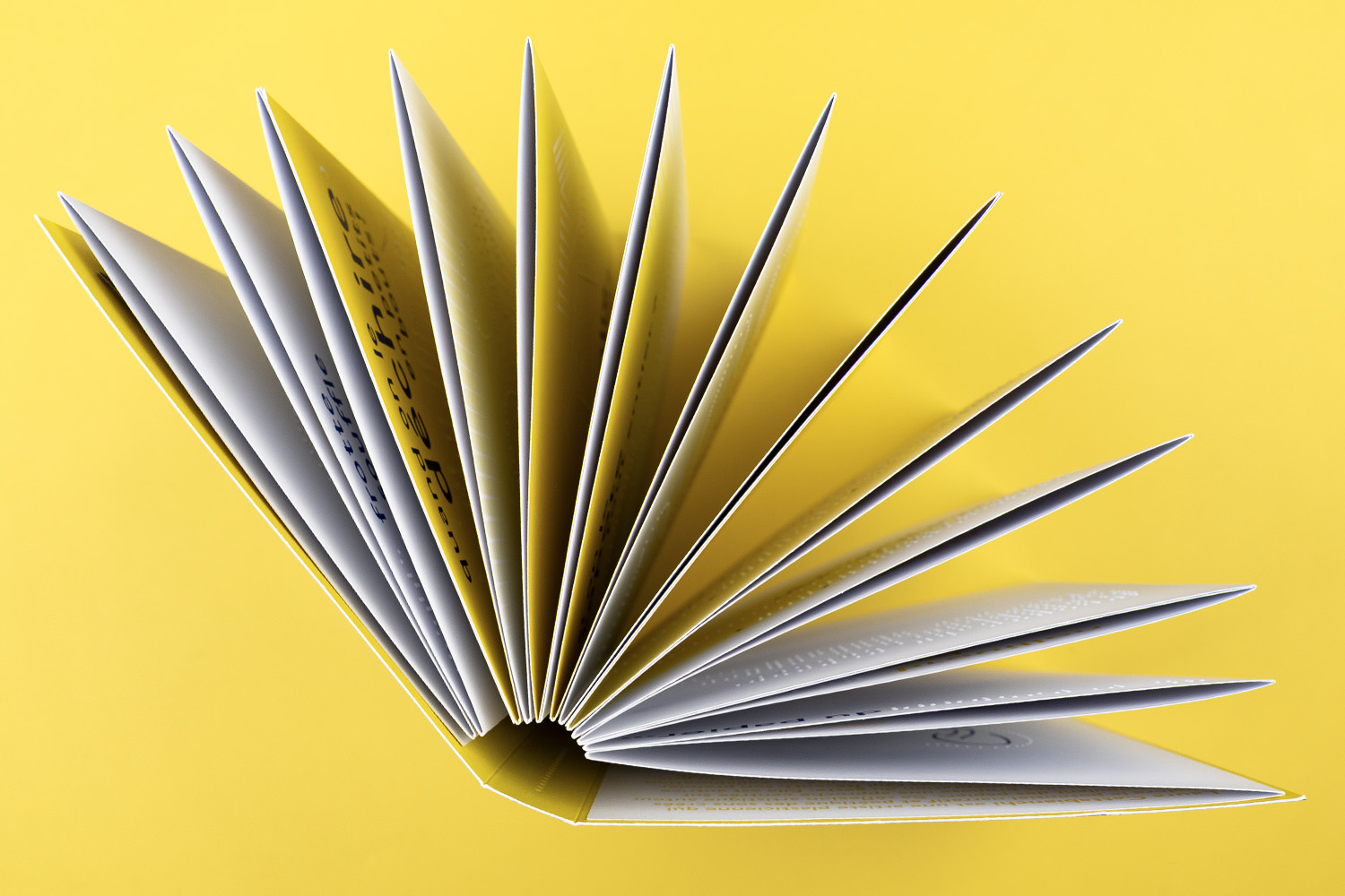 Les sons du papier livre leporello
