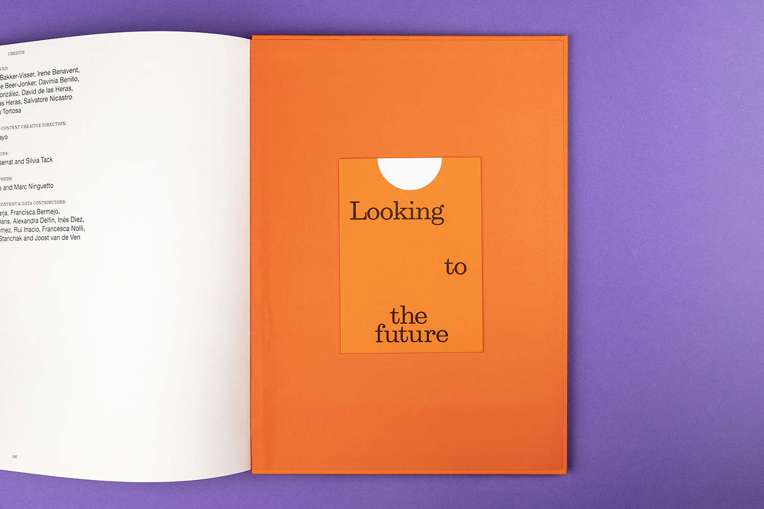 Stoneweg Living die-cut pocket book
