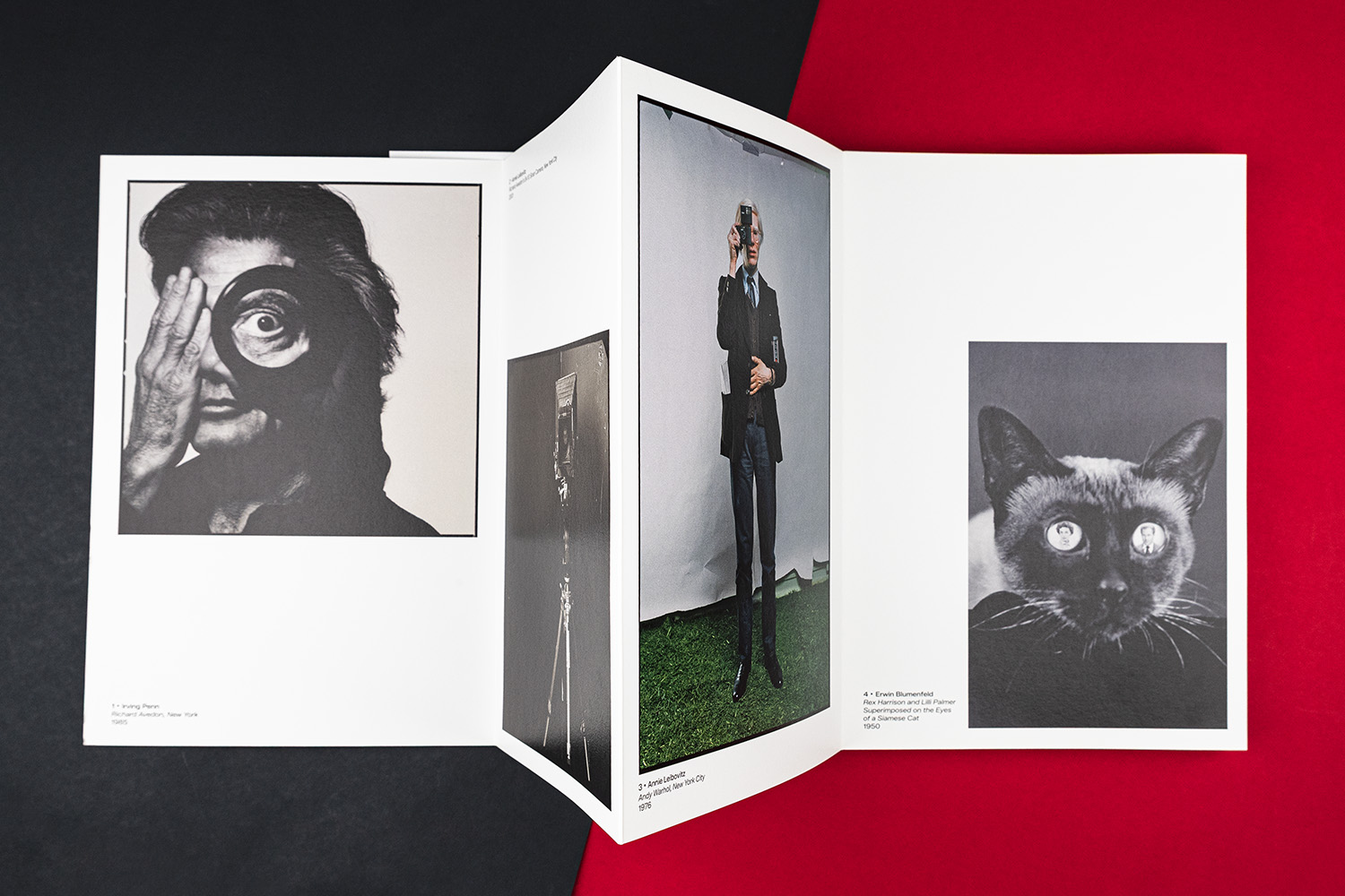 06-Remember Me leporello livre photographie_